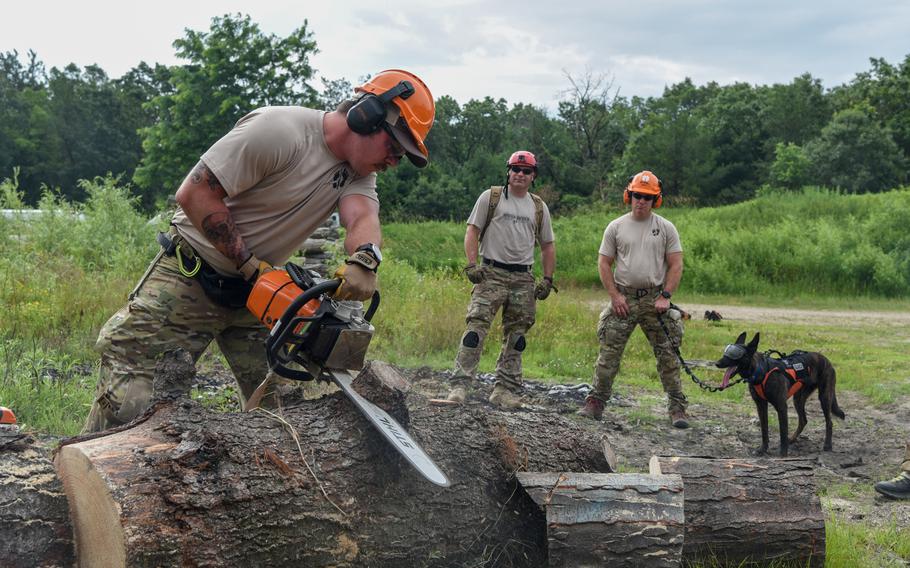 A dog and its handler participates in an operation