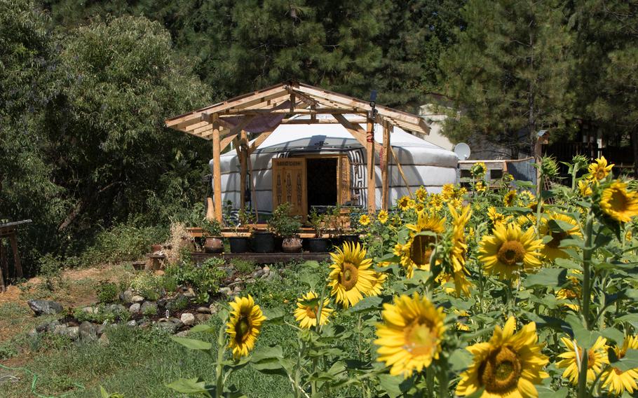 Colin Sternagel, the founder of SunTime Yurts in Washington state, spent seven months living in Mongolia and imports the structures from the Central Asian country. 