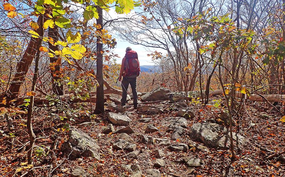 A backpacker pauses to take in fall colors and a vista of the Maryland landscape along the Appalachian Trail in late October.