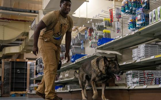 Then-Staff Sgt. DariusOmar Stephens, a military working dog handler for the 18th Security Forces Squadron, works with ZsoZso at Kadena Air Base, Okinawa, Aug. 24, 2023.
