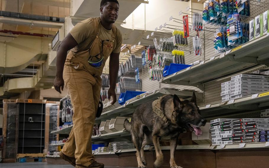 Then-Staff Sgt. DariusOmar Stephens, a military working dog handler for the 18th Security Forces Squadron, works with ZsoZso at Kadena Air Base, Okinawa, Aug. 24, 2023.