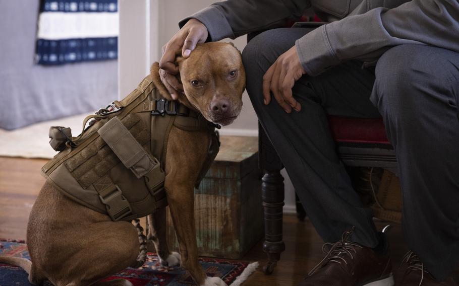 Johnson pets his service dog, Asha, at Valor Village, in Newport News, Va. "He couldn't sleep through the night before he got that dog," Johnson's mother said. 