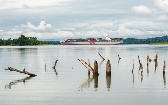 Tree trumks emerge from low water at Gatun Lake in Colon, Panama, on Monday, Nov. 20, 2023. MUST CREDIT: Walter Hurtado/Bloomberg