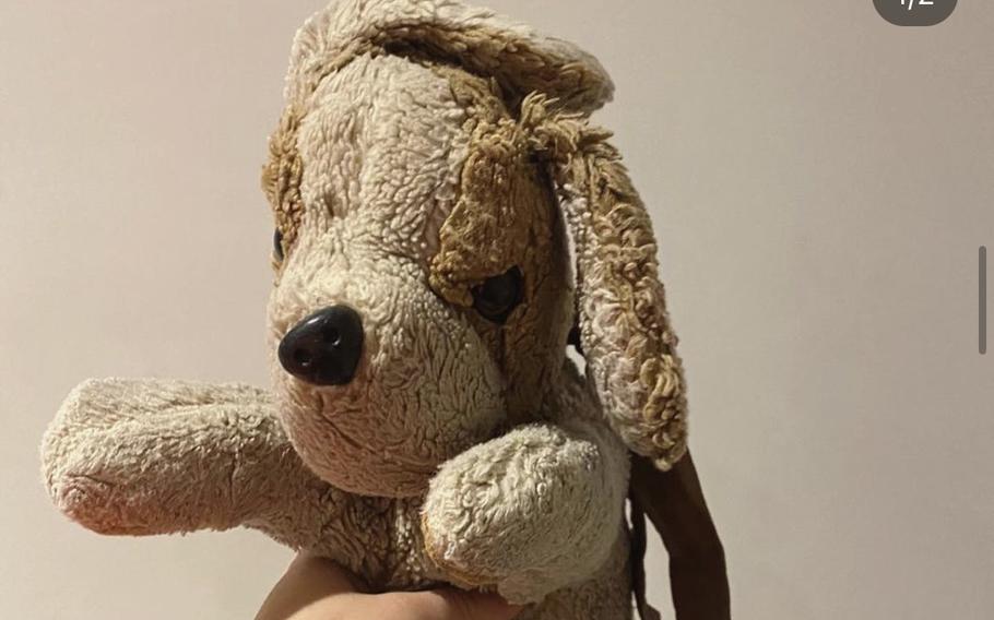 The “before” photo of a well-loved stuffed dog when it arrived at Loved Before. About 95% of the plushies she receives are usable, Charlotte Liebling said. If they are deemed unsafe in some way, she’ll recycle them. “It doesn’t matter if toys are old or battered or worn, we’ll find them homes,” she said. 