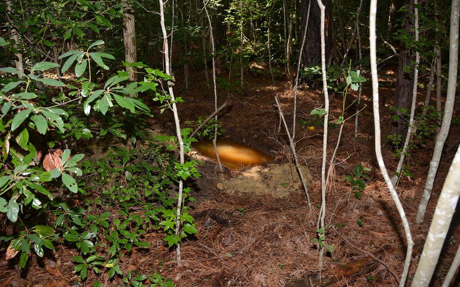 A photo of a site in Jacksonville, North Carolina, where in June 2018 a Marine Corps sergeant dug up explosives he had stolen from nearby Camp Lejeune and then buried. 