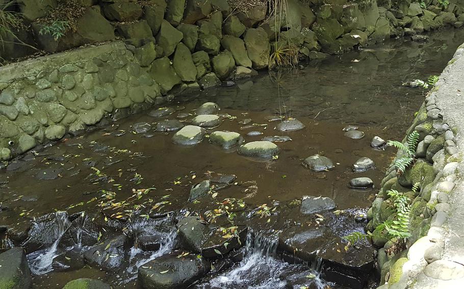 The Yazawa River runs through the Todoroki Valley in Setagaya, Tokyo.