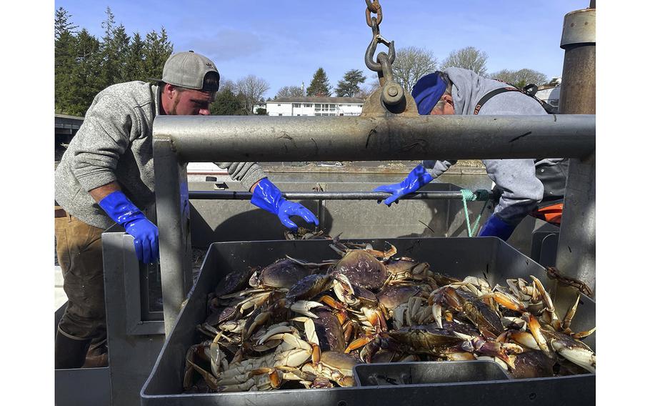 Bryan Damon, left, and his father fish for Dungeness crab within Willapa Bay in February 2023.  