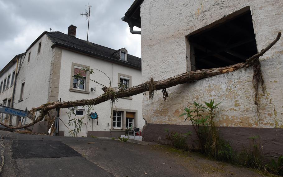 A tree sticks out from a window next to the Nims River in Rittersdorf, Germany, on July 31, 2021. The river rose to more than 6 feet and damaged homes and buildings along the river earlier last month, in flooding that residents say was the worst in their lifetime.