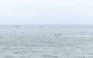 A view of the ocean where the plane went down.