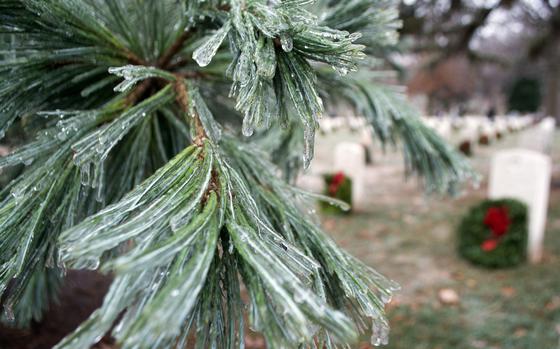 Arlington National Cemetery, Dec. 17, 2016: Ice coats a tree at Arlington National Cemetery as volunteers lay down wreaths at the graves during Wreaths Across America. 

META TAGS: Wreaths Across America, holidays, christmas, commemoration, Arlington, 