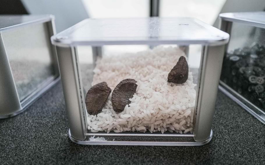 Brazil nuts rose to the top of a container of rice, demonstrating the Brazil nut effect, one of the many intriguing phenomena explored at the Experimenta Science Center in Heilbronn, Germany. 
