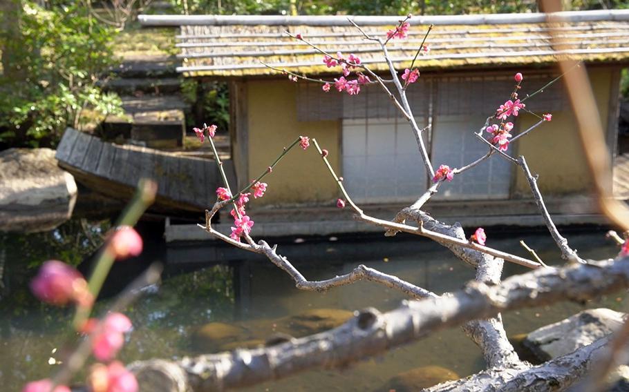 Nezu Museum's 4.2-acre Japanese garden features a pond with carp and tea houses that are rented out to the general public for tea ceremonies. 