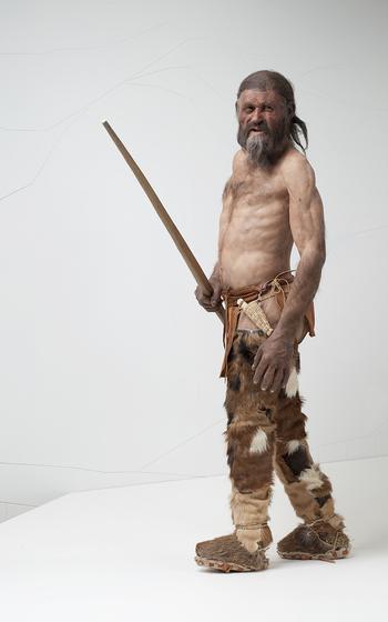 An artist's rendition of what Ötzi, a Bronze Age man whose remains were discovered largely preserved in frozen ice in the Alps in 1991, could have looked like when he was alive.