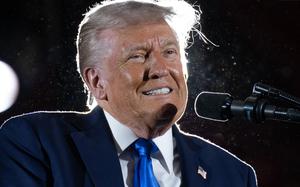 President Donald Trump smiles while speaking into a microphone.