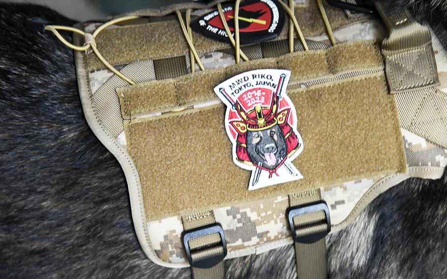 Riko, a military working dog, wears a special patch during his retirement ceremony inside the Enlisted Club at Yokota Air Base, Japan, Wednesday, Oct. 11, 2023.