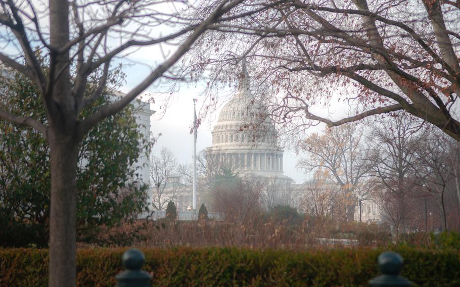 A view of the Capitol through trees and early morning mist.