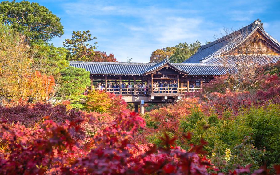 Autumn leaves are a powerful lure for tourists at Tofukuji temple in Kyoto.