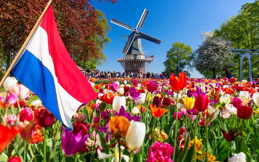 Keukenhof, one of the world’s best-known gardens, will soon be in bloom in the Dutch town of Lisse. The famous grounds will welcome visitors for seven weeks starting March 23.