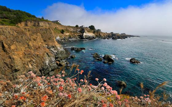 A view of the rugged coastline in Shelter Cove, The Lost Coast.