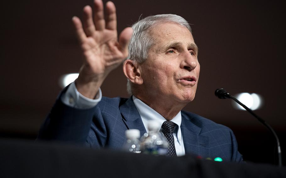 Dr. Anthony Fauci, the president's chief medical adviser, testifies at a Senate Health, Education, Labor, and Pensions Committee hearing on Capitol Hill on Jan. 11, 2022, in Washington, D.C.