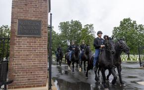 The 3rd US Infantry Regiment (The Old Guard) trains horses on Tuesday, May 13, 2025 in Arlington, VA as they leave Arlington National Cemetery. Percheron-breed horses are used to pull military caissons during funerals at Arlington National Cemetery. The horses are stabled next door to the cemetery at Joint Base Myer-Henderson Hall. (Eric Kayne/Stars and Stripes)