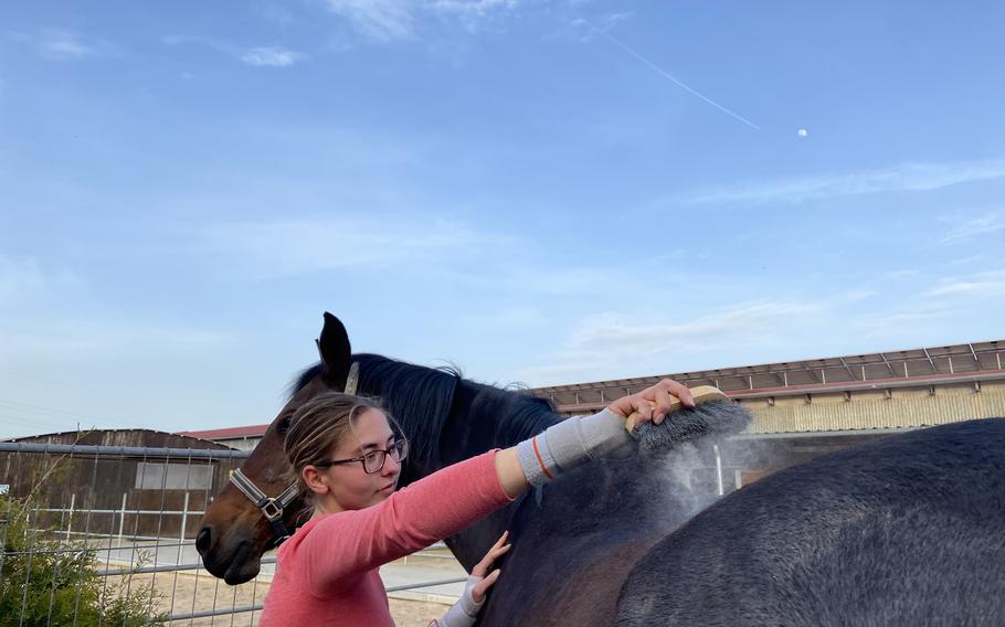 Maya Zakrajsek, 19, brushes her horse, Columbo, in Mannheim, Germany. 
