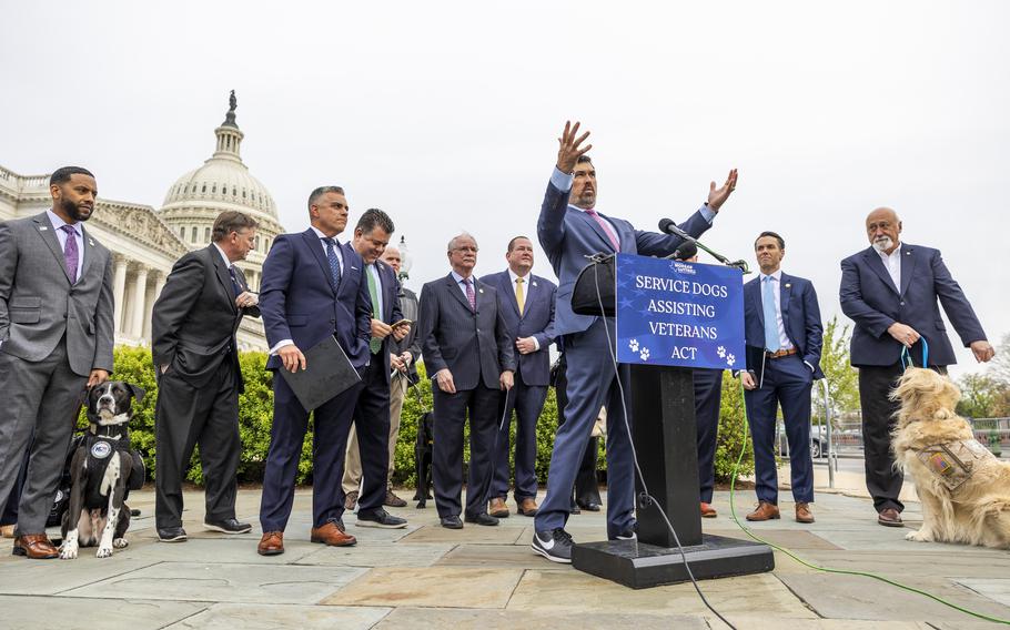 Group of people outside the Capitol and in front of a podium with two dogs.