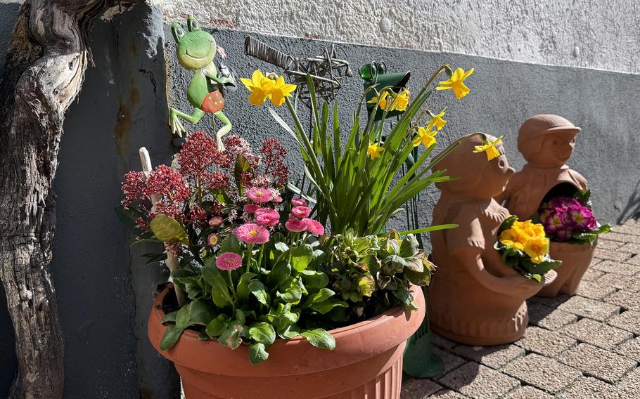 Flowers decorate a lane in a village along the Bergstrasse in central Germany, in March 2024.