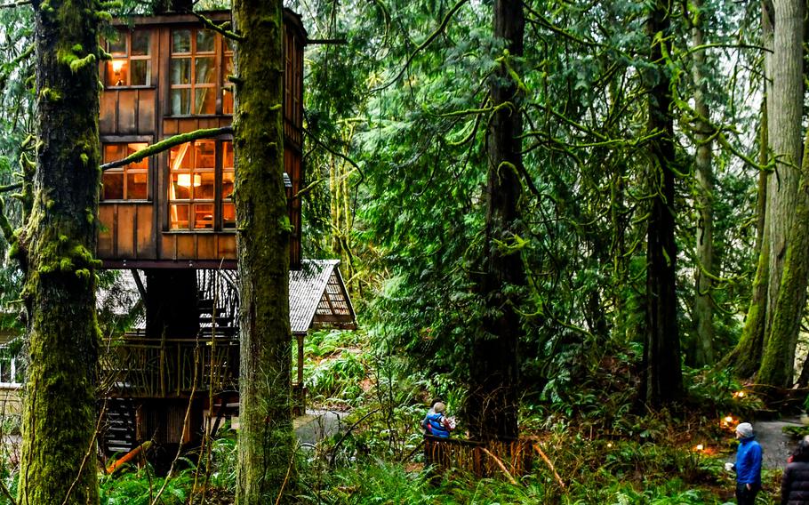 The architectural star of Treehouse Point is Trillium, shown here, a two-level wonder with 80 windowpanes, all clinging to the ample trunk of a western red cedar. It was completed in 2009.