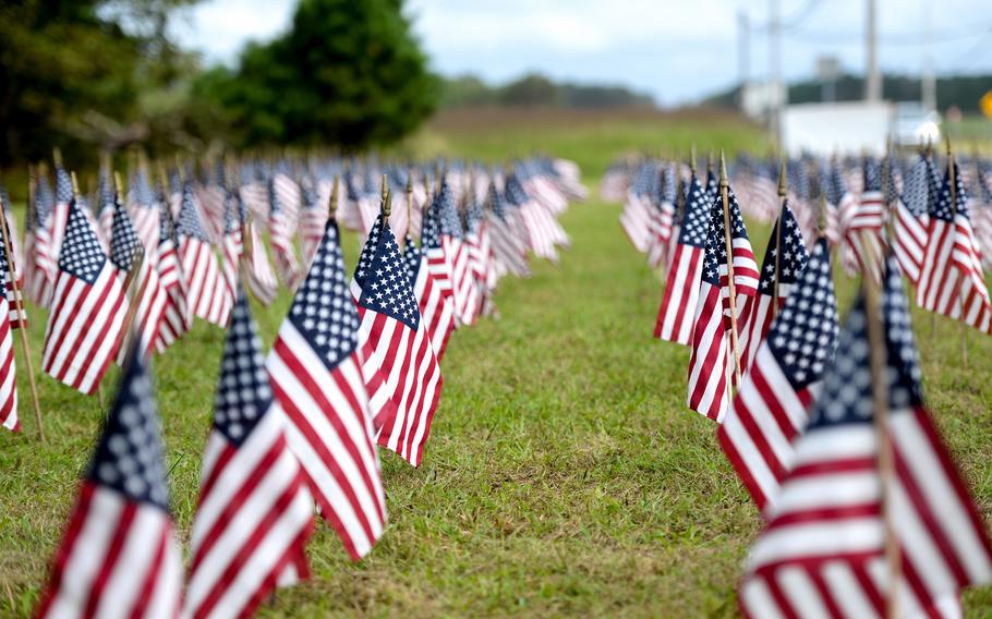 A closeup of small American flags planted in the ground.