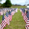 American flags stand in the ground Sept. 1, 2020, outside of the 177th Fighter Wing, Egg Harbor Township, N.J. 660 American flags were ceremoniously placed under the 177FW's billboard to represent the approximate amount of Veterans that commit suicide every month in the United States. (U.S. Air National Guard photo by Airman 1st Class Hunter Hires)