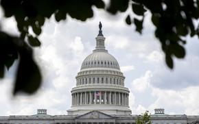 The U.S. Capitol dome behind tree leaves 