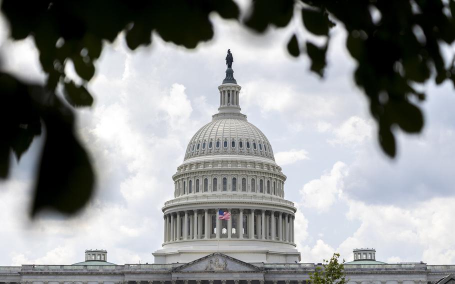The U.S. Capitol dome behind tree leaves.