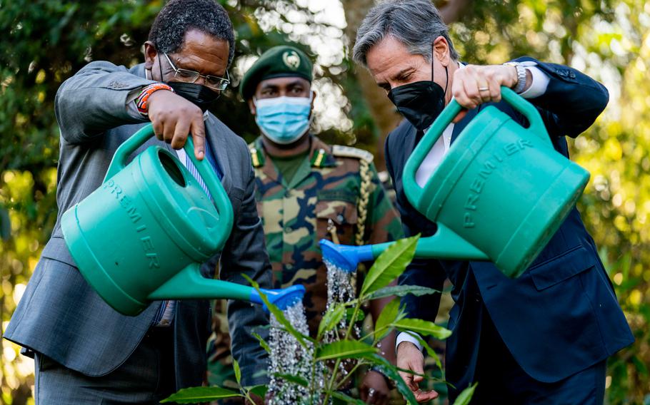 Secretary of State Antony Blinken and Kenya's Cabinet Secretary for the Ministry of Environment and Forestry Keriako Tobiko, left, plant a tree together during a visit to the Karura Forest in Nairobi, Kenya, Wednesday, Nov. 17, 2021.