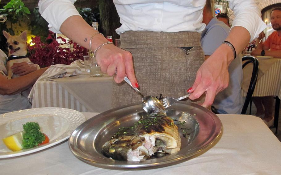 A sea bass is filleted tableside at Ristorante San Lorenzo in Sirmione, Italy, a little over an hour's drive from the U.S. Army garrison in Vicenza.