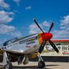 The Commemorative Air Force Rise Above Traveling Exhibit & P-51 “Mustang.” 