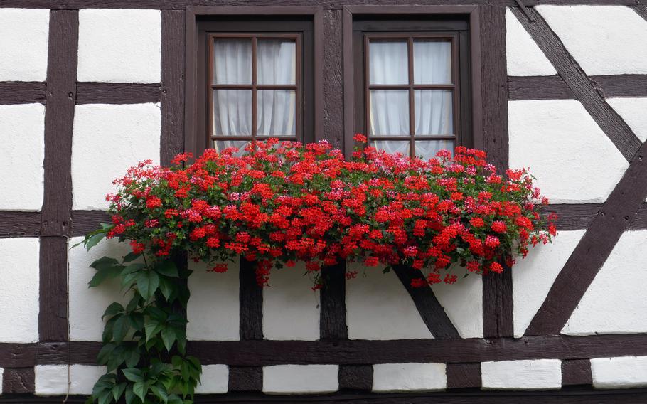 Geraniums hang from flower boxes on a half-timbered house in Dreieichenhain, Germany. The town, about 30 miles east of Wiesbaden, is known for its colorful houses and its medieval castle.