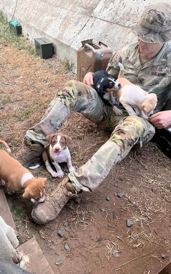 Indiana National Guard soldier Zach Green with stray puppies in Kenya earlier in 2024. He named one of the pups Jonesy, and had Paws of War fly the dog to the United States after his service.
