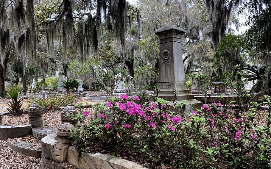 Bonaventure Cemetery, which author John Berendt calls “the most sublimely beautiful place in America.” 
