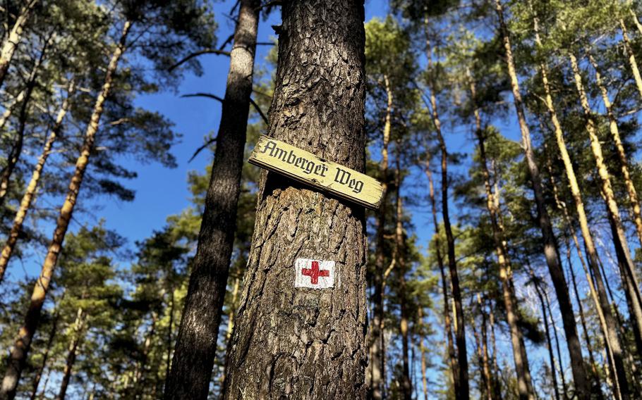 An Amberger Weg sign and a red cross sign are on a tree