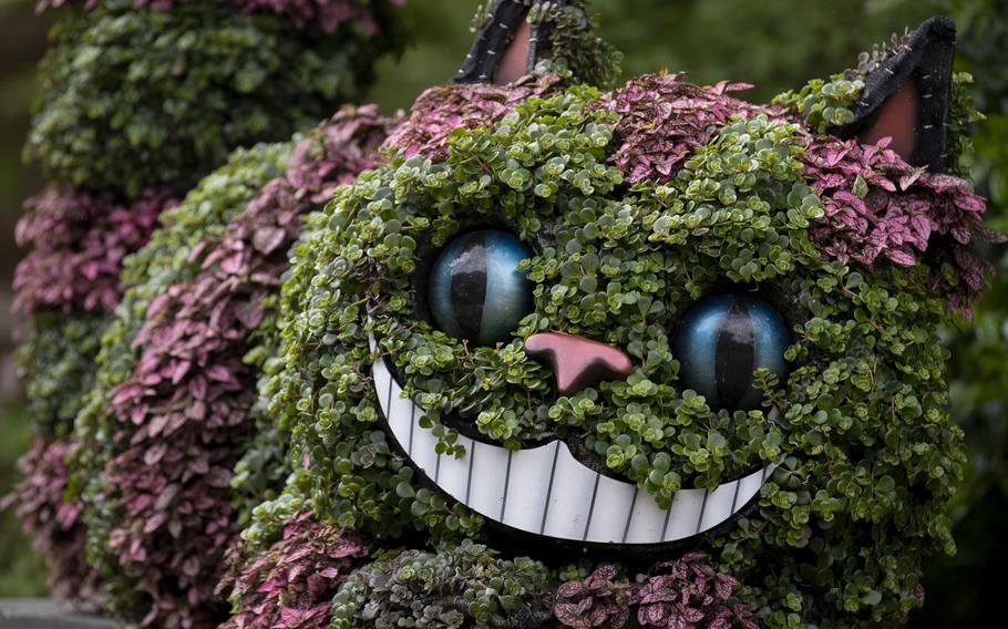 A Cheshire Cat planting grins in the “Alice’s Adventures in the Garden” exhibit at Memphis Botanic Garden May 10 in Memphis, Tenn. The exhibit will remain open until Oct. 31. 
