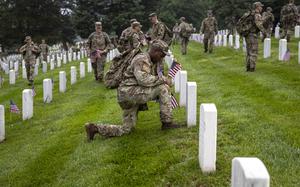 Members of the ArmyÕs 3d U.S. Infantry Regiment (also known as The Old Guard) honors AmericaÕs fallen heroes by placing American flags at gravesites for service members on Thursday, May 22, 2025, in Washington at Arlington National Cemetery. The tradition, known as ÒFlags-In,Ó has taken place annually since 1948. Every available solider in the Old Guard participates. Small American flags are placed at approximately 260,000 headstones and 7,000 niche rows within the columbarium. Each flag is inserted into the ground, exactly one boot length from the headstoneÕs base. It takes nearly 1,500 soldiers, including approximately 100 joint service members, four hours to complete Flags-In. (Eric Kayne/Stars and Stripes)