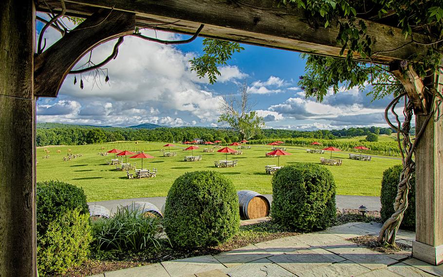 Greenhill Vineyards is an adults-only winery, with a focus on guided tastings. 