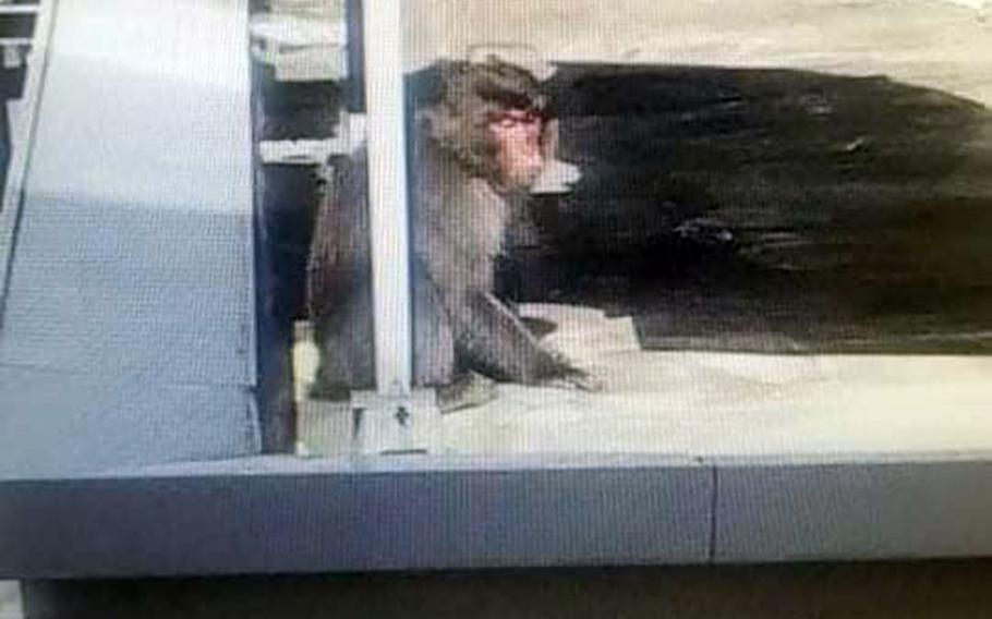 Spotted atop the dental clinic at Yokota Air Base, Japan, Wednesday, Oct. 20, 2021, a monkey was soon a star of social media as residents posted photos and videos of their macaque sightings.
