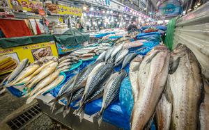 Tongbok Traditional Market in Pyeongtaek, South Korea, offers everything from the catch of the day to a new pair of jeans. 