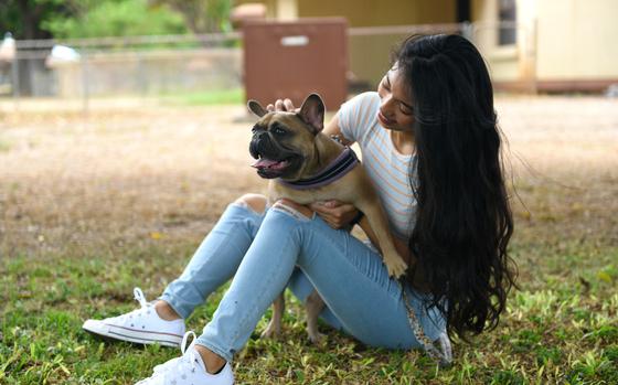 Petty Officer 2nd Class Jessy Cuellar plays with her emotional support dog, Violet, at Joint Base Pearl Harbor-Hickam, Hawaii, in 2021. The Air Force on Thursday released a list of required documentation for airmen and guardians to supply when seeking reimbursement of pet expenses during a permanent change of station move.