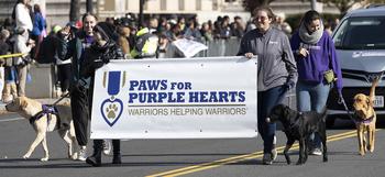 The National Veterans Day Parade on Sunday, Nov. 12, 2023, in Washington. 