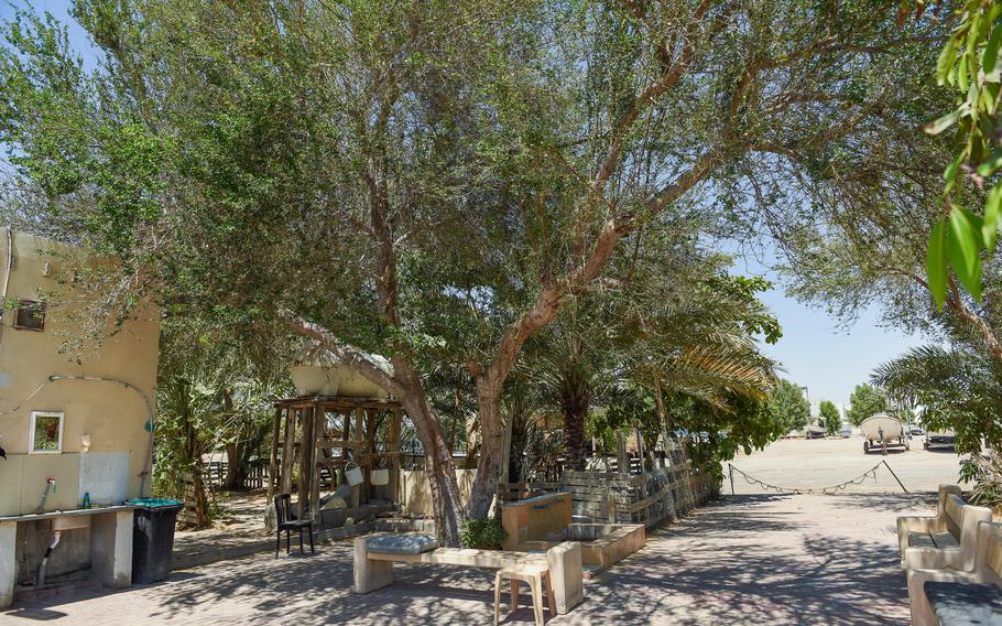 Trees give shade at a building used by fisherman.