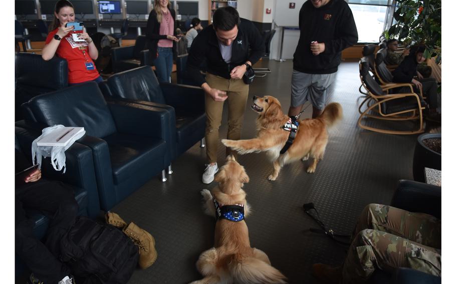 Ellie gives Kevin Bubolz an unprompted high-five for a treat inside the USO center at Ramstein Air Base, Germany, on Oct. 18, 2023. Bubolz and his wife, Katie, are visiting U.S. service members in Poland and Germany as part of their first international trip with Ellie and Emma, who have millions of social media followers.