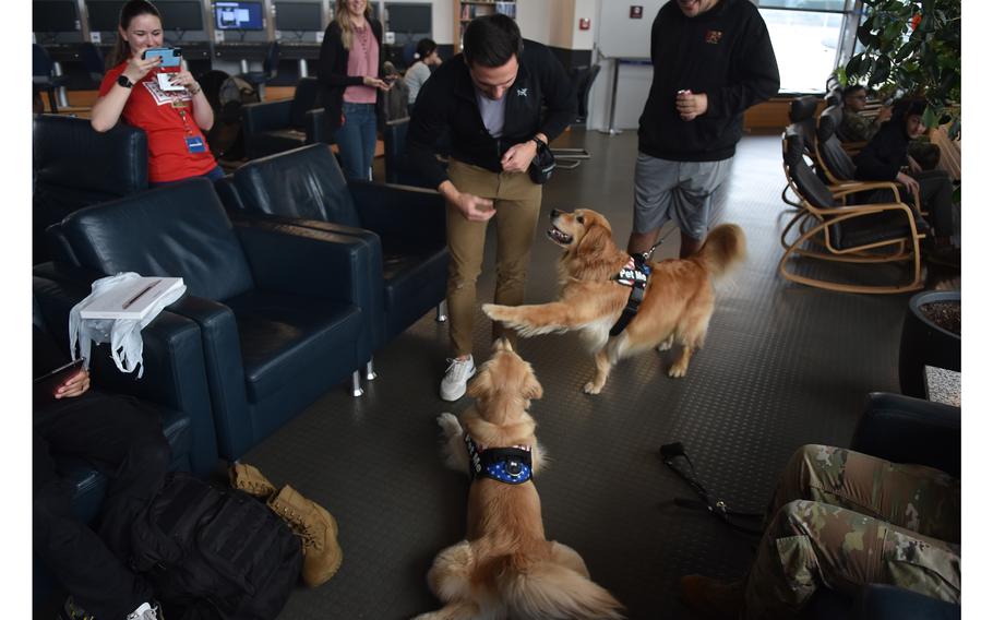 Ellie gives Kevin Bubolz an unprompted high-five for a treat inside the USO center at Ramstein Air Base, Germany, on Oct. 18, 2023. Bubolz and his wife, Katie, are visiting U.S. service members in Poland and Germany as part of their first international trip with Ellie and Emma, who have millions of social media followers.